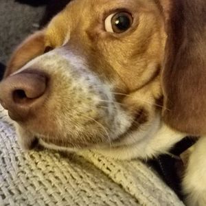 Meet your Posher, Stacy